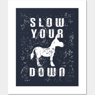 Slow Your Down Posters and Art